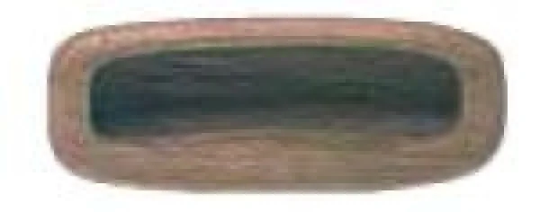 2026_06_24_1951601